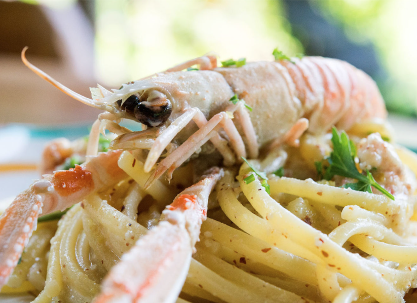 Amalfi-Lemon-Class-shrimp